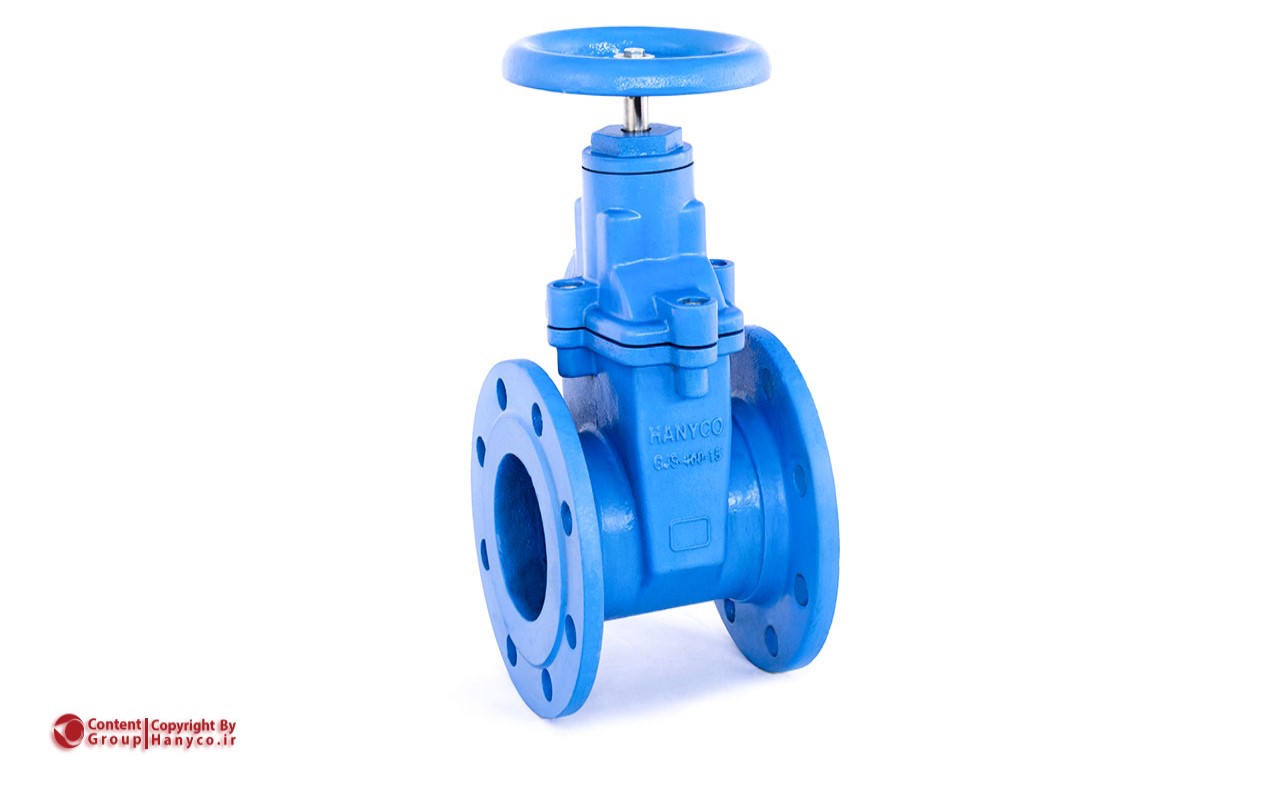 Resilient Sealing Gate Valves