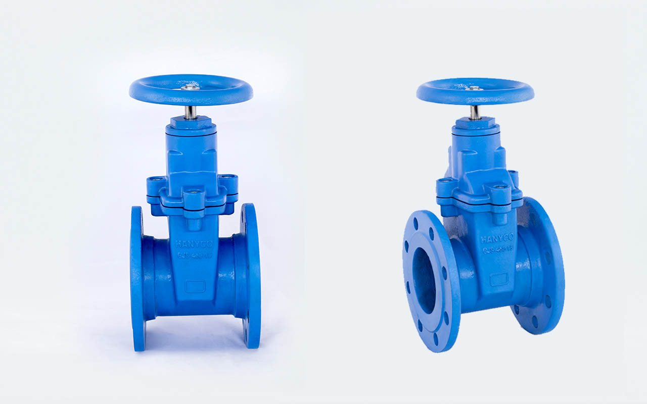 Resilient Sealing Gate Valves