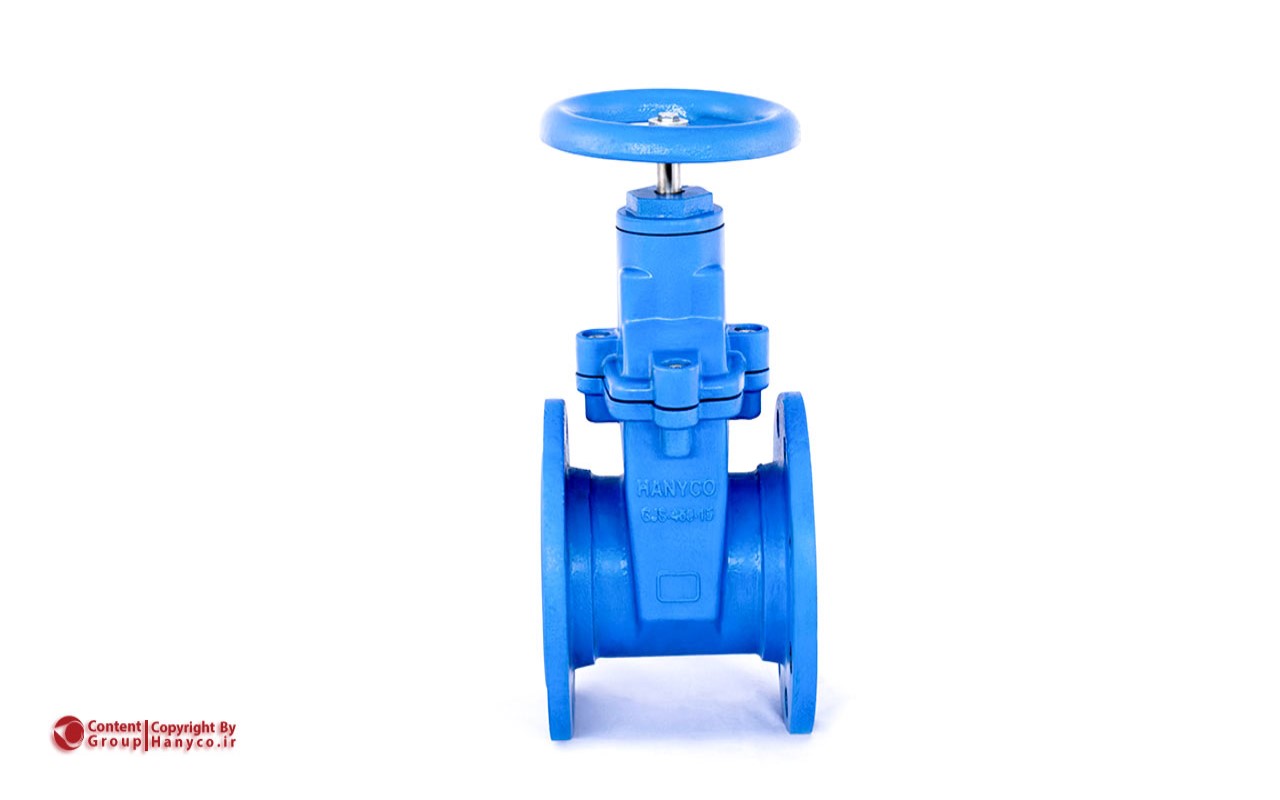 Resilient Sealing Gate Valves