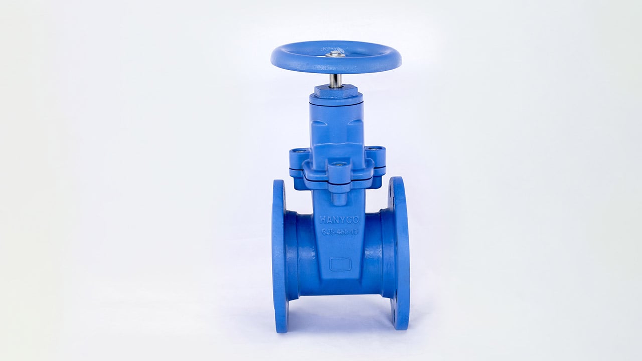 Resilient Sealing Gate Valves/imag1