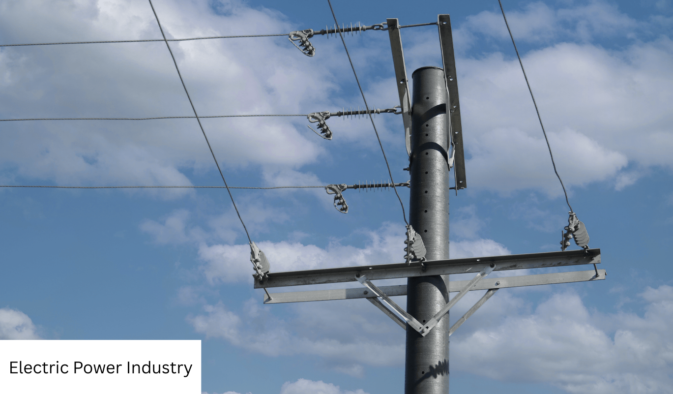 Electric Power Industry